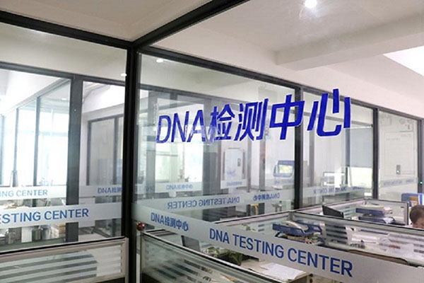 淮安DNA检测收费咨询服务（专注顾问解答您的DNA检测收费问题） 